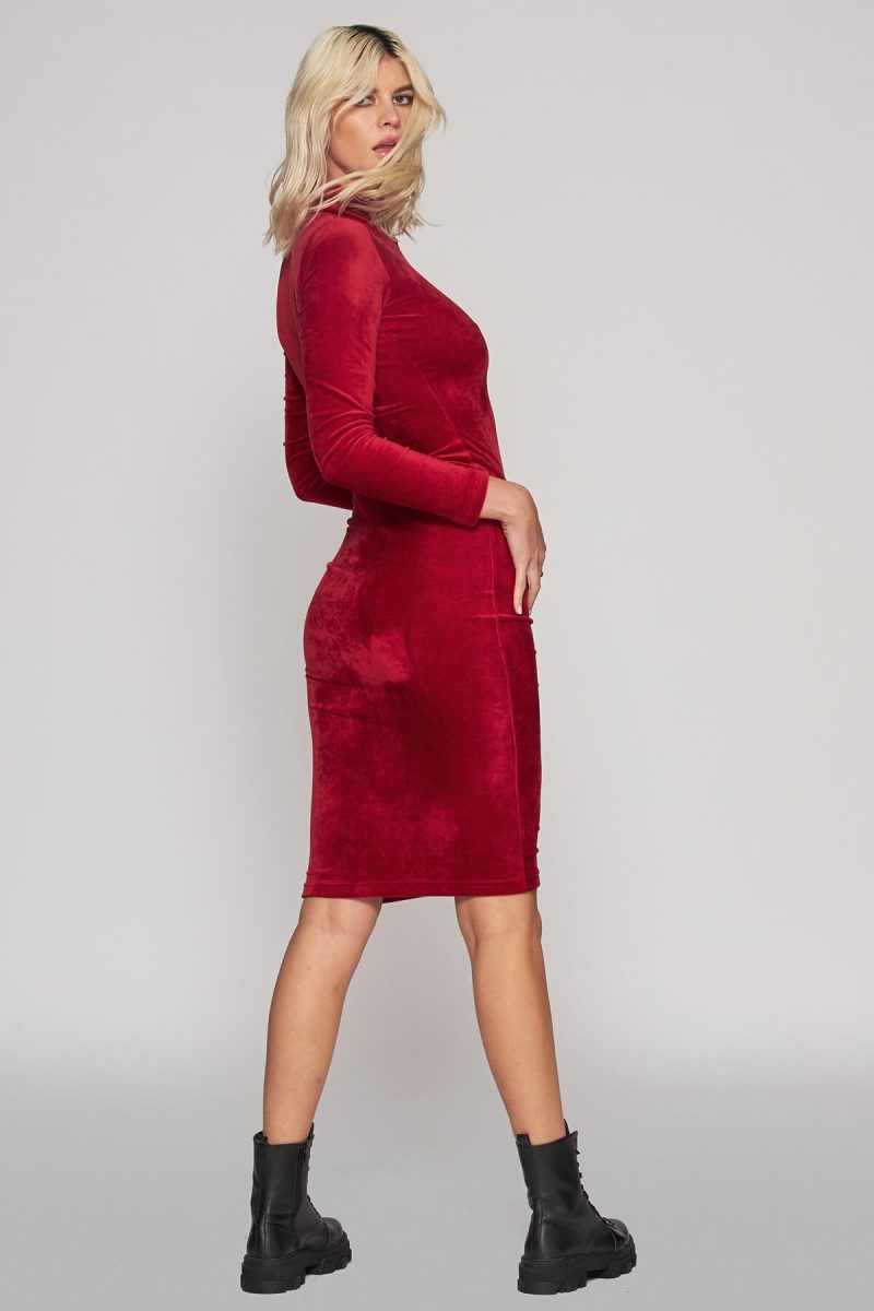 Fitted velvet dress with long sleeves and turtle neck line